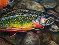 Brook trout oil pastel