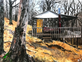 Papaw's Cabin Print