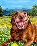 Chocolate Lab Print